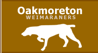 Oakmoreton Weinmaraners 