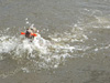 Asha - Doggy paddle!!