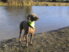 Asha - Christmas Swim 2007