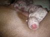 Just born