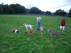 Chloe Jasper and friends
