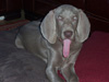 Dudley - Say arhhhh !!