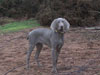 Dudley at 6 months