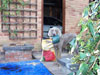 Dudley finds gardening very therapeutic!!