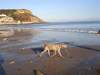 Elsa enjoying a day at the seaside