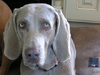 Isobel...so sweet and innocent!!