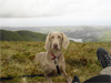 Mya on holiday in Porthmadog