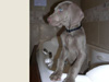 Mya checks out the bath
