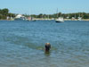 Oz swimming