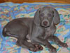 Phoebe...butter wouldn't melt!!
