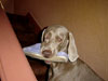 Its my slipper