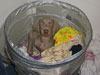 Spy's first day in her new home