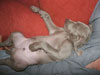 Parker  - Wake me when it's tea time
