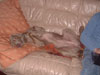 Willow - Ahhh,  this is the life!!