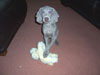 Zac - My own puppy