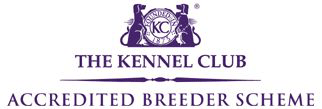 The Kennel Club: Accedited Breeder Scheme