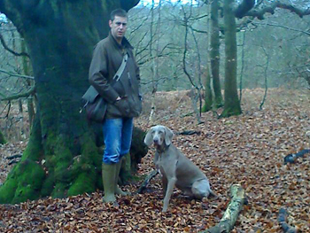 Oakmoreton Weimaraners