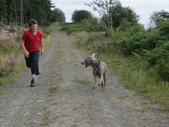 Rowan & Bella...I can run faster than you!