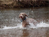 Vale, 2 yrs old
